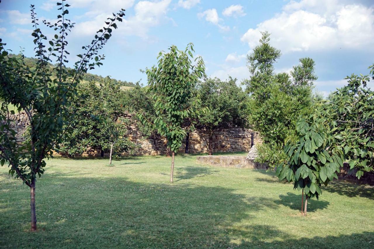 Tourist Farm With Apartments Fig Tree Dekani 외부 사진