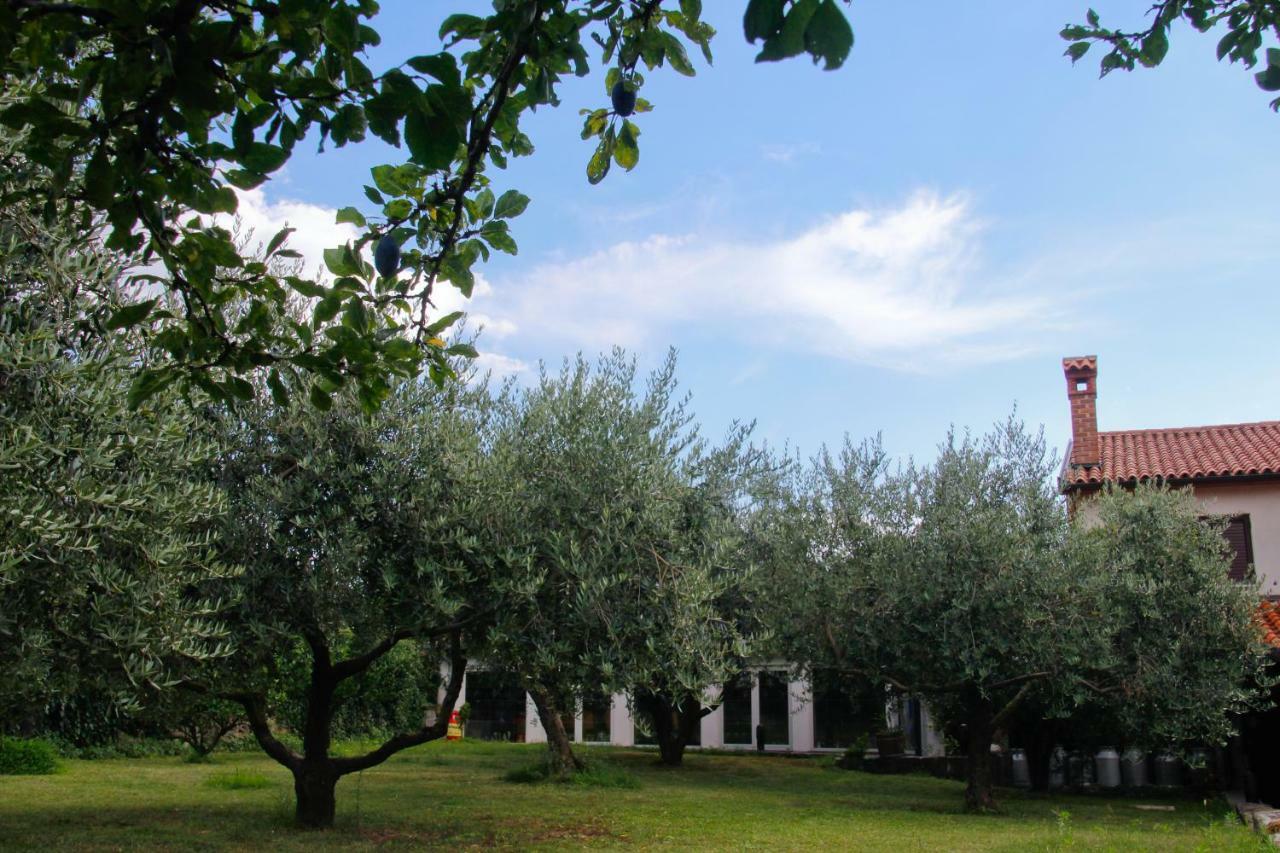 Tourist Farm With Apartments Fig Tree Dekani 외부 사진