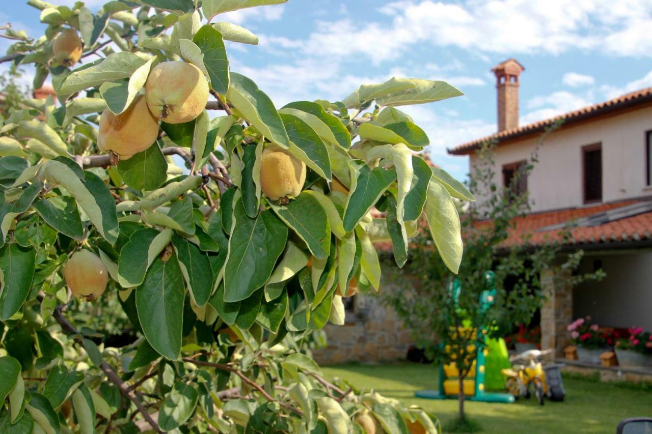 Tourist Farm With Apartments Fig Tree Dekani 외부 사진
